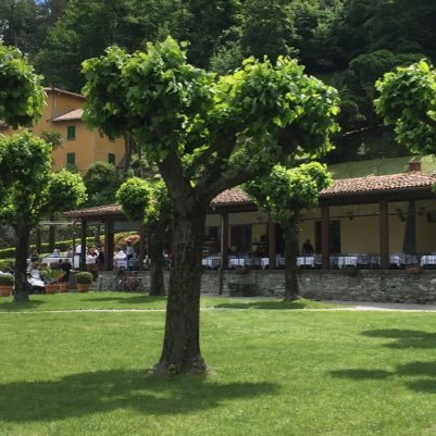 small tree living in Italy 🌲 loving life and blowing in the wind. maybe others will take a leaf from my book 😉