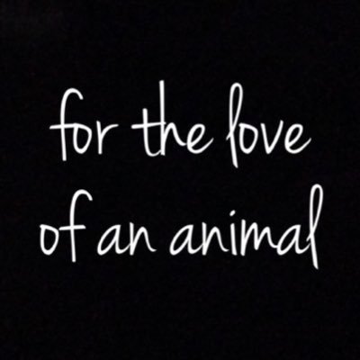 fortheloveofananimal was started to help animals around the world looking for the love of a human or peace of life knowing there is no risk of human harm.