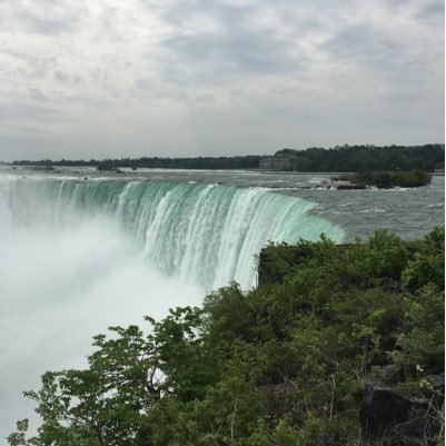 bird_yusei's profile picture. 私の血液型は、B型 です。