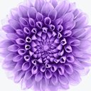 Sam. (@05536044222) Twitter