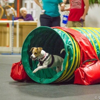 Barrie's premiere indoor/outdoor training facility. We host classes and events in numerous dog sport disciplines, indoors and out, all year long.