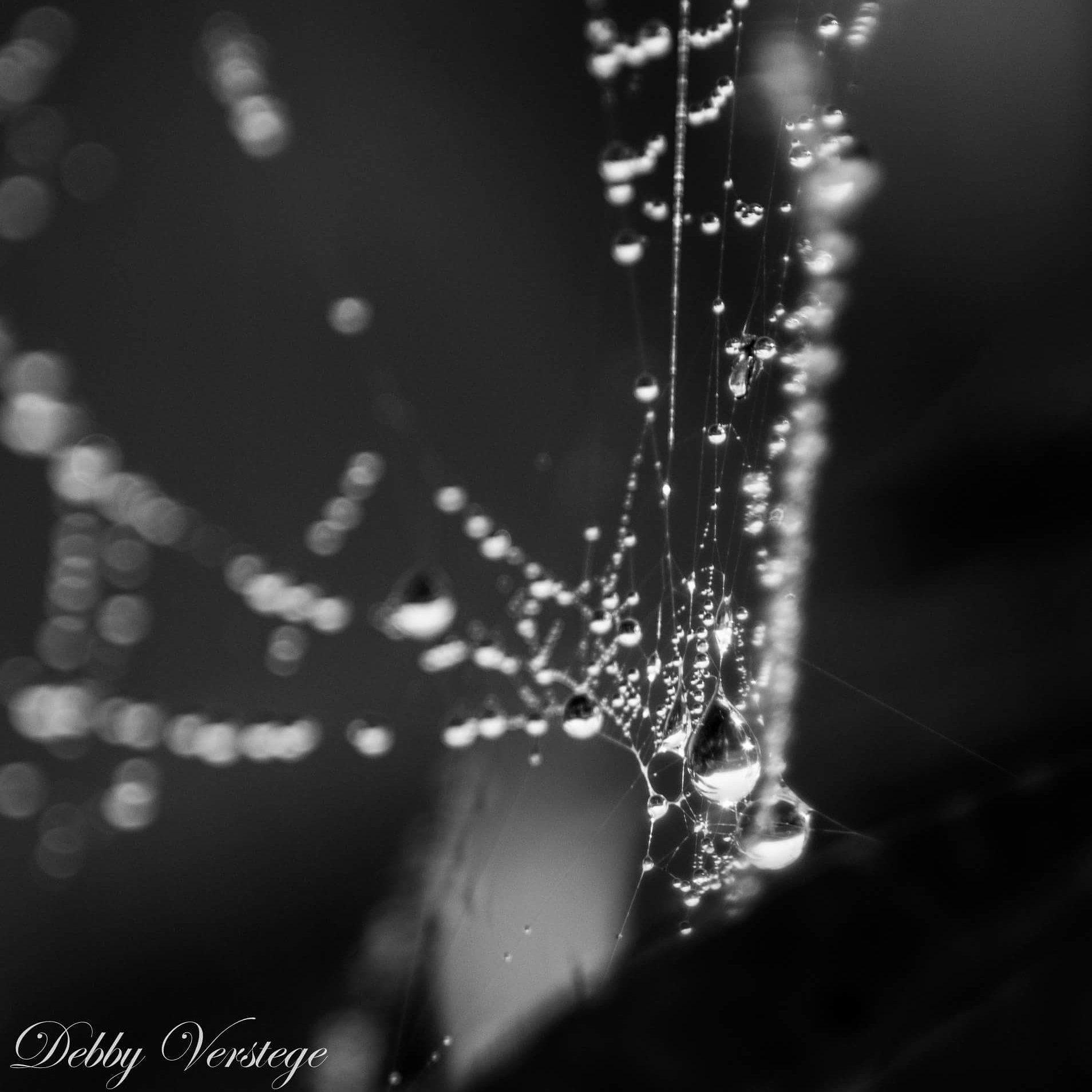 badeendjes4's profile picture. Leef en Laat leven. Love my kids en man. https://t.co/dGQyki8nuS #fibromyalgie