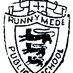 Runnymede PS 100th (@Runnymede100) Twitter profile photo