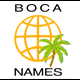 domain names professionals!