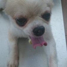 さあや