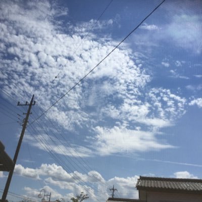 E4AY33FvL97krPk's profile picture. 