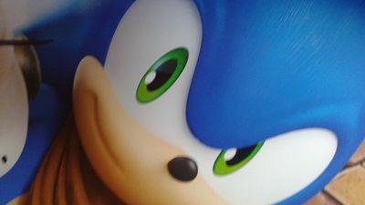 Huge sonic fan, love the legend of zelda. I bring sonic and zelda info to you guys and I  love video games,  feel free to check out my profile. also amiibos :)