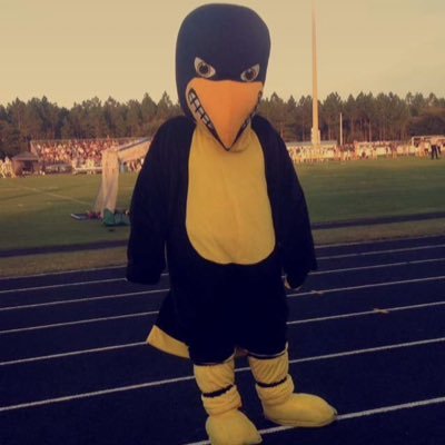 ThePedroFalcon's profile picture. Hey guys! Pedro Falcon here just living life and protecting the flock 🤘🏼🤘🏼💙💛 Feel free to let me know what moves I should do next game