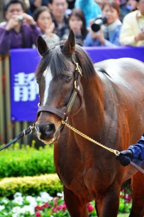 ツーリングと競馬とカープをこよなく愛するものです。