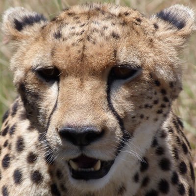 cari_sorby's profile picture. 