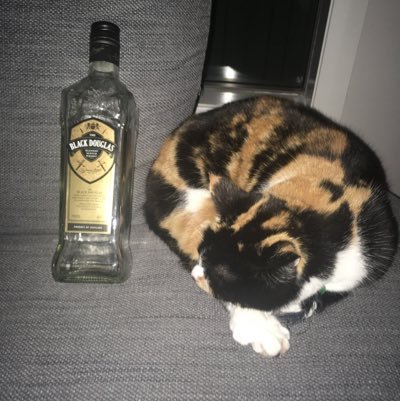 reidj575's profile picture. Pakenham Victoria