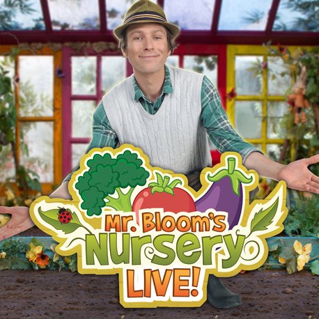 Mr Bloom Live