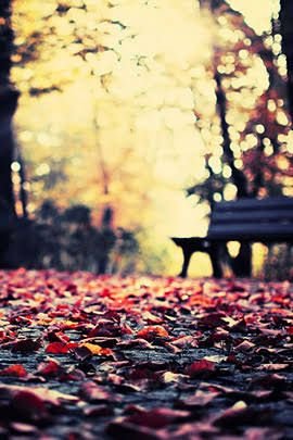 Daisy12_01's profile picture. 