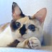 Mabo K (@mabo_k_) Twitter profile photo Mabo K (@mabo_k_) Twitter profile photo