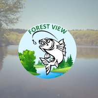 Forest View (@forest_view_) 's Twitter Profile Photo