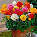 دلوني عليك (@05432109a) Twitter