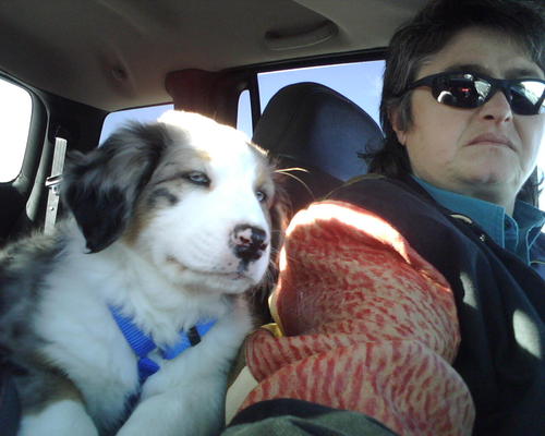 aussies3's profile picture. Enjoying life and all my experiences