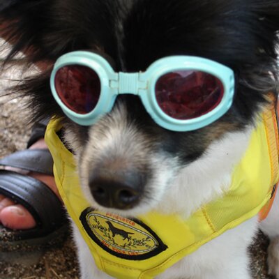 backnumber's profile image