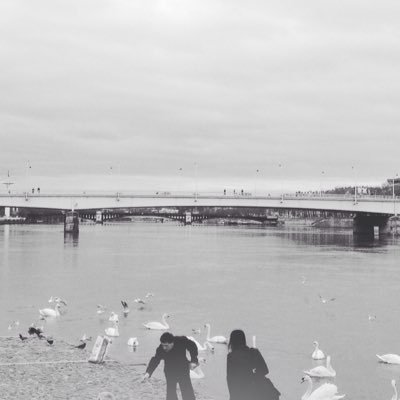 ClyRoss's profile picture. 