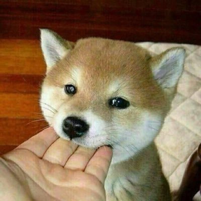 UzzkcB6326IDhQa's profile picture. 時間と金がない‥‥‥