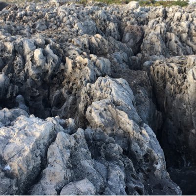 kazi_julhash's profile picture. Learning how to learn!