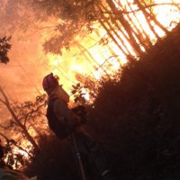 javi hervas (@javi_hervas) 's Twitter Profile Photo javi hervas (@javi_hervas) 's Twitter Profile Photo