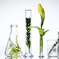 FoodTechnologiesLab (@foodtechlabs) 's Twitter Profile