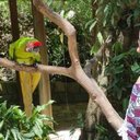 Vanessa Portillo - @vportillo7 - Twitter