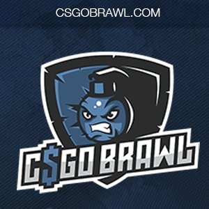 CSGOBrawl Profile Picture