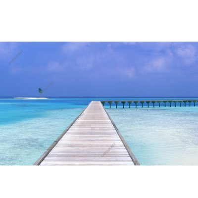 4wMasa's profile picture. 音楽 スポーツ お笑い芸人 ニュース エンタメ アイドル