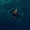 raalhu's profile picture. 