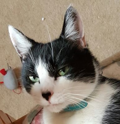 StemLongStem's profile picture. 