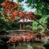 japancornwall's profile picture. the garden was built as a place for meditation and contemplation. it is filled with a variety of plants and water features and is a tranquil space