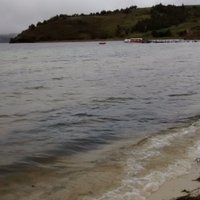 Laura Paola Pedraza (@laurepedraza) 's Twitter Profile