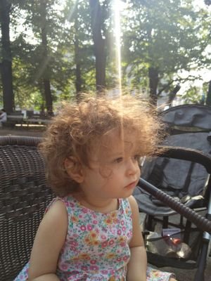 mesorasch's profile picture. 