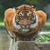 AQUOS Entertainment Inc (@aquosgroup) Twitter profile photo AQUOS Entertainment Inc (@aquosgroup) Twitter profile photo
