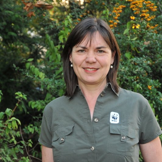 Regional Conservation Director of WWF Central and Eastern Europe