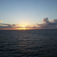 ali tutar (@ali_alitutar) 's Twitter Profile