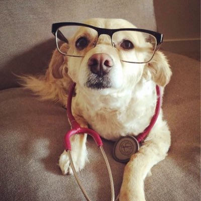 Vision World in Stony Brook will keep your eyes healthy and support all of your eyeglass needs. New here! Show us Love! @dblissfully