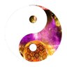 zenvercoder's profile picture. I like to code