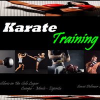 karate training vzla(@trainingkarate) 's Twitter Profile Photo