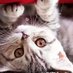 upside*down (@i_m_deplorable) Twitter profile photo upside*down (@i_m_deplorable) Twitter profile photo