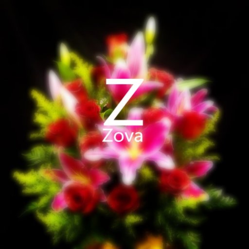 ZovaIDS's profile picture. Welcome 
We are a new sniping team!
YouTube/ https://t.co/BWpxc4IIhk