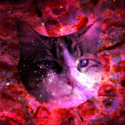 🙏🍕🌝🌻🌈💓 #INFP-T, HSP, 2w3, sp/so, SEI-Fe, Ravenclaw, Thunderbird, Feminist, lover of pizza, always curious.