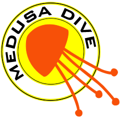 medusadive's profile picture. 