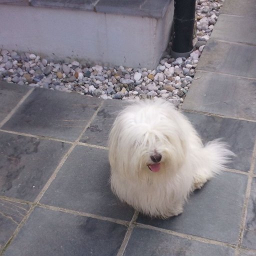 lord_finance's profile picture. 