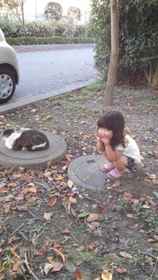 ShunichiSuetake's profile picture. 