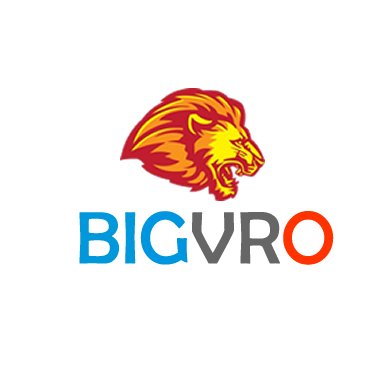 BigVro's profile picture. 