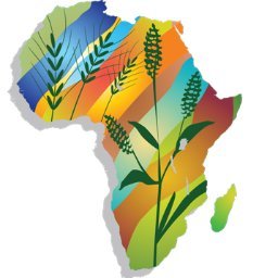 EBAFOSA_Benin's profile picture. Ecosystem Based Adaptation for Food Security in Africa Assembly