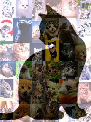 y0147258's profile picture. 